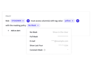 Dynamic Data Masking
