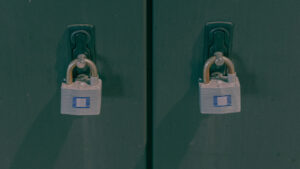 ALTR Brief: Snowflake Compromised Customer Accounts