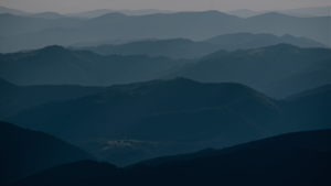 Discover Sensitive Data with Ease Using ALTR Classification