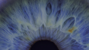 Why Data Access Visibility is Critical for Compliance